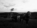 Vatra 2017   5